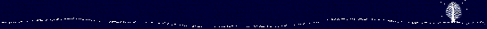 bar.gif (4446 bytes)